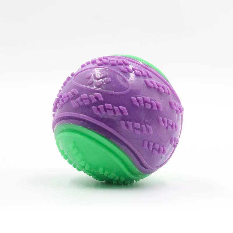 Squeaky Dog Ball Toy – Soft TPR Interactive Toy for Teeth Cleaning & Bite Resistance