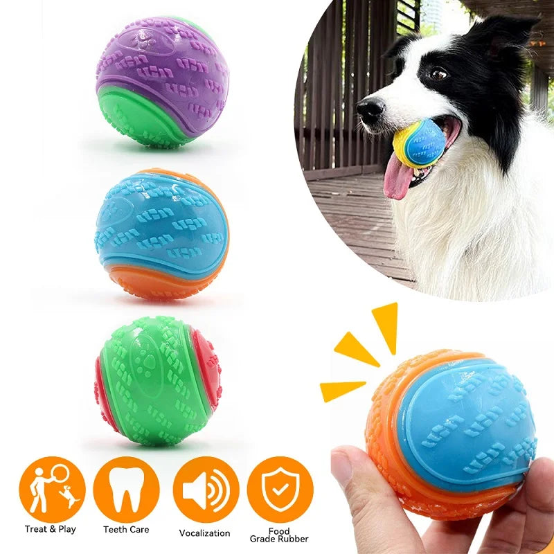 Squeaky Dog Ball Toy – Soft TPR Interactive Toy for Teeth Cleaning & Bite Resistance