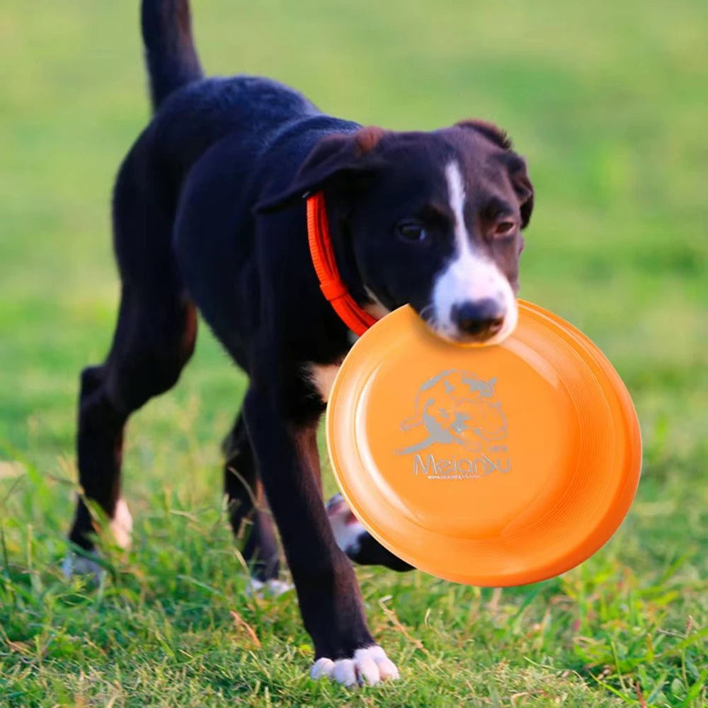 Dog Training Flying Disc – Lightweight, Durable & Waterproof Fetch Toy for Puppies & Adult Dogs